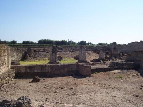 הוילה Francavilla Marittima Societa Agricola Mg Florplant מראה חיצוני תמונה