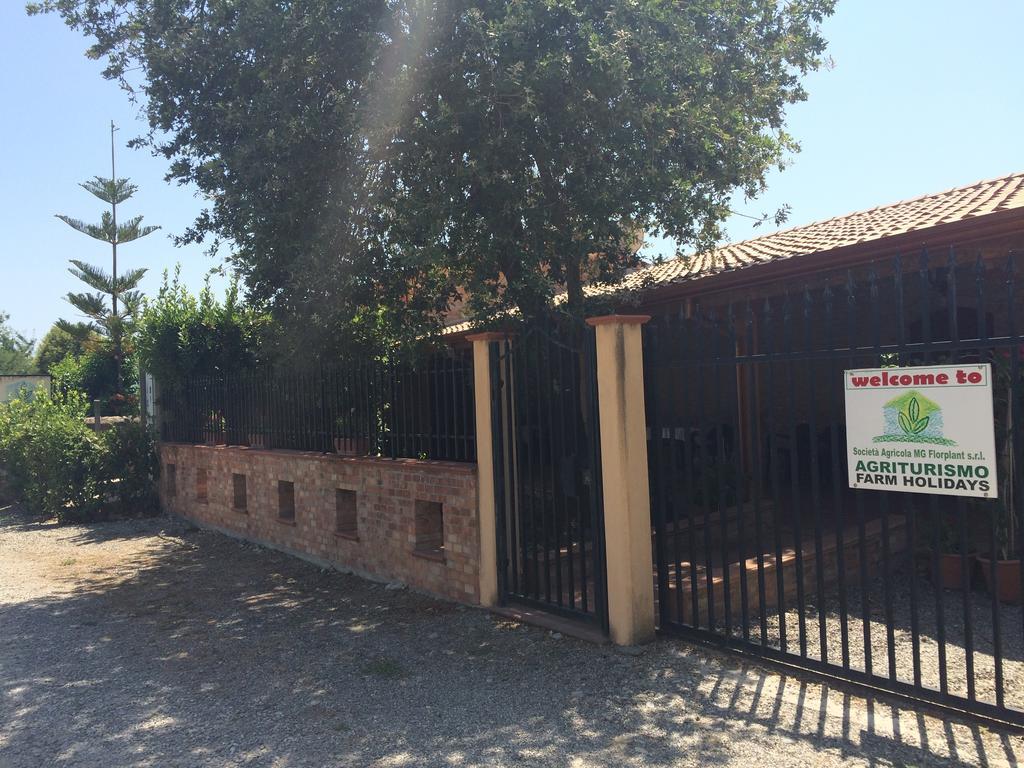 הוילה Francavilla Marittima Societa Agricola Mg Florplant מראה חיצוני תמונה