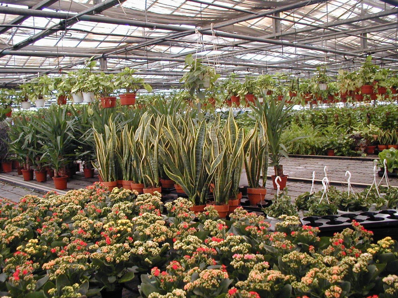 הוילה Francavilla Marittima Societa Agricola Mg Florplant מראה חיצוני תמונה